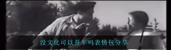 沒文化可以開車嗎表情包分享