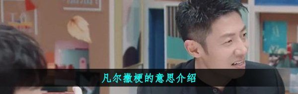 凡爾撒梗的意思介紹