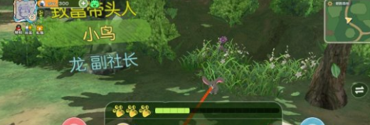 《小森生活》捕捉動(dòng)物方法介紹