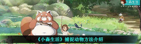 《小森生活》捕捉動(dòng)物方法介紹