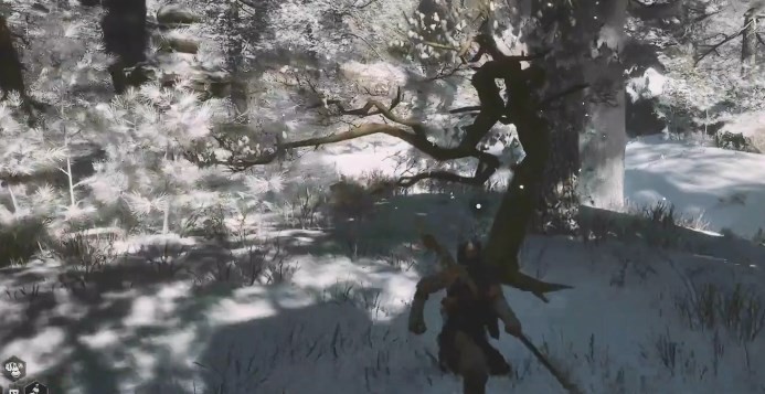 《黑神話(huà)悟空》樹(shù)珍珠獲得方法攻略