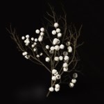 《黑神話(huà)悟空》樹(shù)珍珠獲得方法攻略